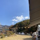 산척면사무소 | 충주 캠핑에바나나 할로윈 캠핑 후기