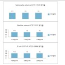 흑캡슐(활성탄)탄의 실험보고서 이미지