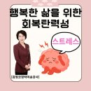 풍전 스마트폰 교실 | 행복한 삶을 위한 회복탄력성 1박2일 서울 다녀왔습니다 조벽교수님의 감정코칭 회복탄력성까지 배움의...