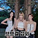 BB 에이전시 이미지