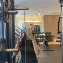 성심피티 이미지