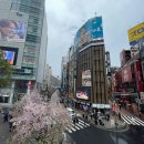 피치203-3 | 3월 4월 일본여행 항공권 피치항공 후기 일본 혼자여행