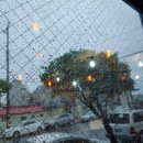 신비무역 이미지