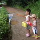 가정농장 이미지