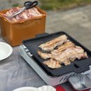 스위스B | 스위스 인터라켄 역 여행 날씨 숙소 한인민박 추천