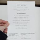 서울떡집 명절 설봄 흑임자인절미 현대백화점 팝업스토어 선물추천