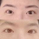 (주)수메디팜 | 창원 팔용동 속눈썹펌 미쁘다 ㅣ속눈썹이랑 눈썹문신 자연스럽게 여기 하나면 끝!