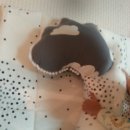 단꿈어린이집 이미지