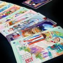 24절기 오라클 카드 홍랑 세트 & 엔젤넘버 서적 내돈내산 후기