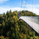 루미나드 이미지