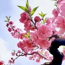 금요일