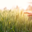 공감정신과의원 이미지