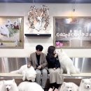 겨울이 머무는 집 이미지