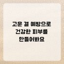 고운;결