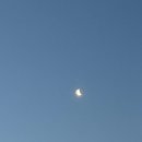 평강막국수, 카페 레삐, 동해커피, 옥란푸딩, 녹쟌니, 월간속초, 비키베이크샵, 애드밸류, 피짜라짜 배달