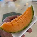 대지여관 | [유랑기] 삿포로 여행 4일차(23.07.18) 비에이 버스투어로 청의호수, 흰수염폭포, 패치워크, 사계채의...