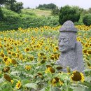 김경숙농장 이미지