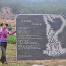 일월산자생화공원 네이버블로그