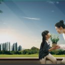 행정사 차한수 사무소 이미지
