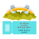 다낭 시내 선짜 야시장 헬리오 야시장 비교 후기 2탄