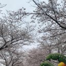 달창로,달창로26길 이미지