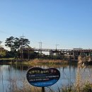 남생이못 습지생태 관찰원 | 11월 제주도 갈만한곳 제주 닭머르 해안길 남생이못