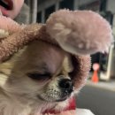 런던당구클럽 이미지