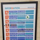 앙팡드포레 이미지