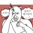 서가네오리 이미지