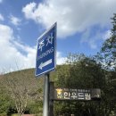 토끼골한우농장 | [한우드림 동물체험장] 여수 동물 먹이주기 체험후기