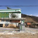 지한초등학교 이미지