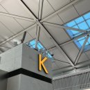 619 | 홍콩 익스프레스 후기 UO619 (온라인 체크인, 피해야할 좌석, 기내/위탁 수화물)