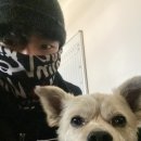 016자동차공업사 이미지