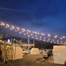 최준내과의원 | 광주 일요일 내과 진료하는 곳! (+2월 초 참새일상...카페인중독 와플,노로바이러스 약하게 걸린 후기...)