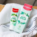 디피드로 | [태국구매대행] 콜게이트 허브디톡스 치약 Colgate Panjaved Herbal Detox Toothpaste
