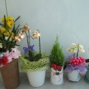 나예뷰티 이미지