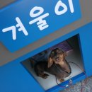 따숩개하우스 | 따숩개하우스 감성난방하우스 설치후기