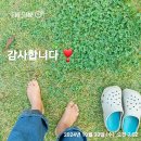 내몸살림 이미지