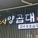 소사양곱대 이미지