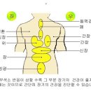 Re: 부항의효능 이미지