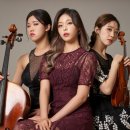 티엘아이아트센터 이미지