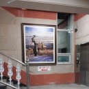 훼미리24시보석사우나 이미지