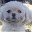 신명동로 이미지