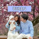 수유제빵소 | 3개월 아기와 첫 장거리 부산여행 :) | 2박 3일 | 숙소 | 맛집 | 겹벚꽃명소 | 동백꽃
