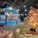 뚝섬한강공원-63 이미지