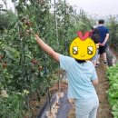 동막4리학포란영농조합법인 이미지