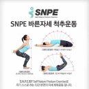 바른자세척추운동(SNPE)1 이미지
