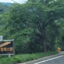 무주 풀빌라 옐로스톤 이미지