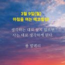 에코힐링