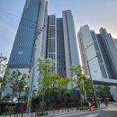 [안산PT 마일스톤 필라테스 스튜디오] 체형교정과 재활PT 전문, 믿고 맡길 수 있었던 헬스장 후기!